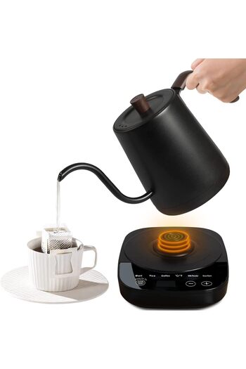 fulina Multifunctional Gooseneck Electric Kettle-304 Stainless Steel, Automatic Temperature Control and 24h
