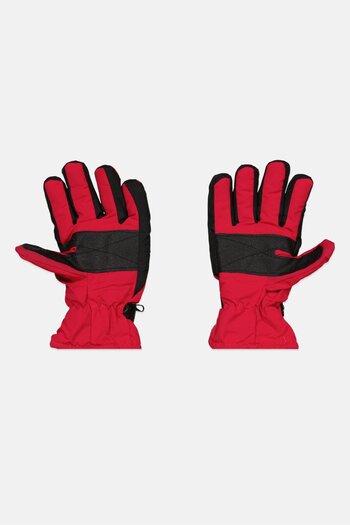 Royal Deluxe Women Solid Snow Ski Gloves, Assorted