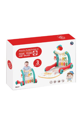 First Step Baby Walker with Mat