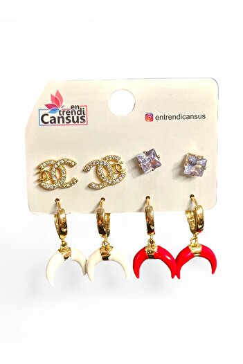 Entrendi Cansus Steel Earring Set