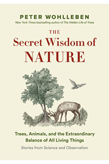 GREYSTONE The Secret Network of Nature: The Delicate Balance of All Living Things