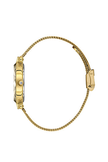 Daniel Klein Original 3 Atm Water Resistant 2 Years Warranty Dke.6.10981-4 Premium Women's Wristwatch