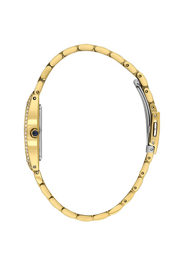 Daniel Klein Original 3 Atm Water Resistant 2 Years Warranty Dk.1.14106-2 Premium Women's Wristwatch