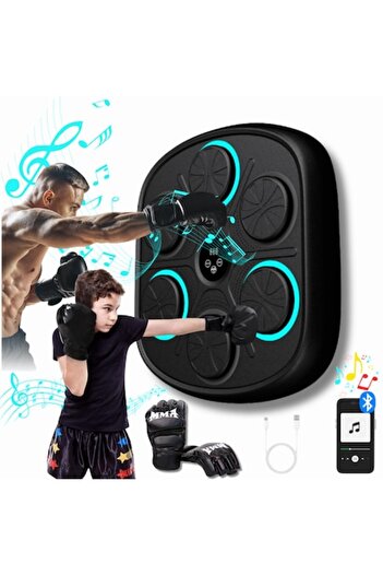 Deliny Boxing Target with Bluetooth, LED Lighting, Wall Mount, Gloves Included