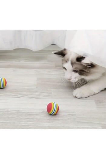 Online Home Market 3 Pack Rainbow Sponge Cat Dog Chewing Play Ball 4.2 cm