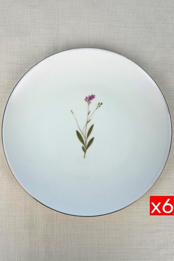 tabakevi Tabak Evi Porselen Natura Çuha Altın Yaldız Servis Tabağı 24,50cm 6 lı