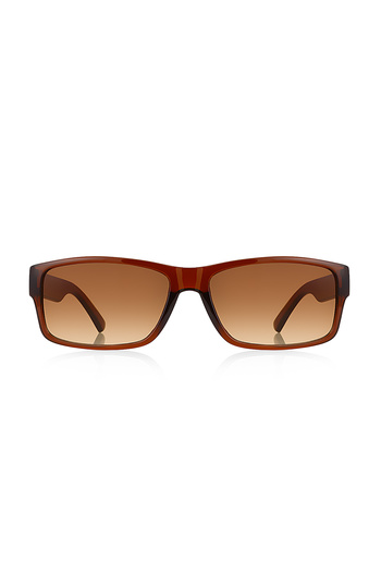 Kinary Unisex Sunglasses Brown Shiny 2033