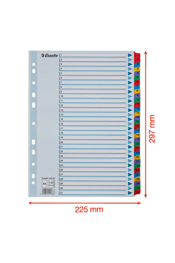 Esselte Mylar A4 index with laminated keys 1-31