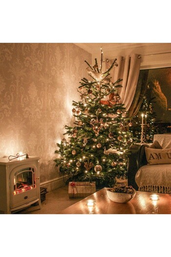 Flippy Christmas Installation, 110 m, 1050 LEDs, Linear, Warm White, 8 Light Modes, Transformer with Remote