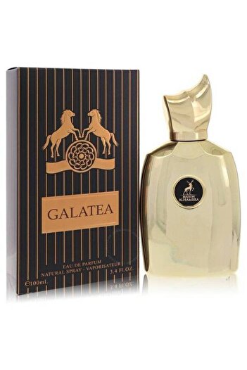 SAMAM PERFUMES Somam Chaos Perfume (Alternative to Parfums de Marly's Layton) Eau de Parfum 100ml