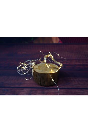Danex Christmas Installation, 5 meters, 50 LEDs, warm white, battery powered, copper wire, linear, indoor/