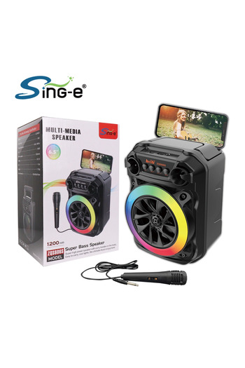 singe Portable Super Bass Bluetooth Speaker 10W Light 6.5 Inch ZQS606S