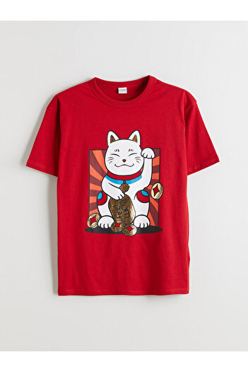 LC Waikiki Crew Neck Boy's T-Shirt