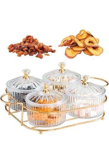 genric SAQOWARE Snack Serving 4 Pcs Bowl,Lid with Storage Tray | Fruit Storage Trays, Dried Fruit Container
