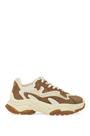 Ash Sneaker "Addict"