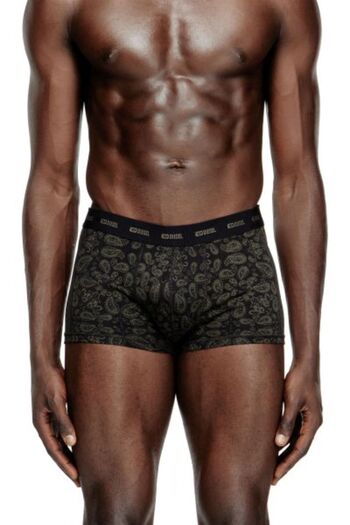 Diesel Boxer