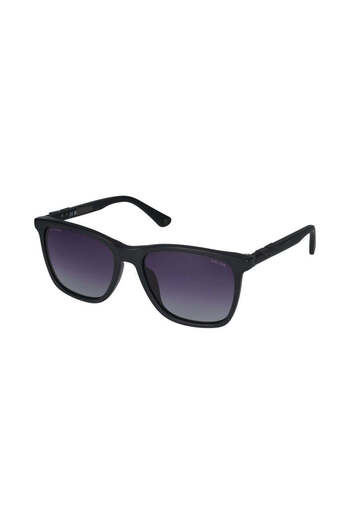 Police Sunglasses