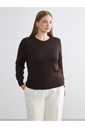 LC Waikiki Brown Crew Neck Women's Knitwear Sweater