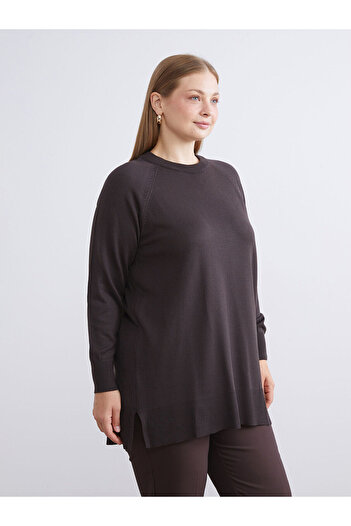LC Waikiki Brown Crew Neck Women's Knitwear Sweater