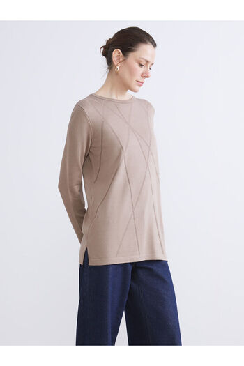 LC Waikiki Brown Crew Neck Stone Women's Knitwear Sweater