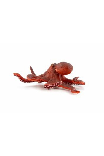 Mercaton PAPO FIGURINA CARACATITA MICA