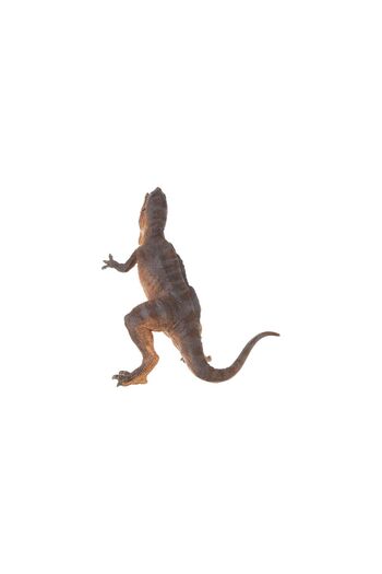 Mercaton PAPO FIGURINA DINOZAUR GIGANTOSAURUS