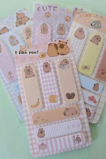 Ecrou Cbr Post It Set