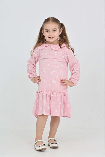 Toontoy Girl's Floral Embroidered Baby Collar Dress