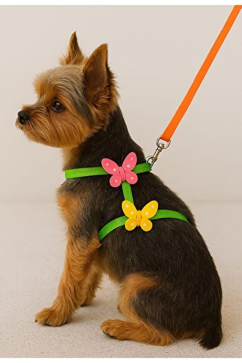 MIT Dog Butterfly Neck Collar for Small Breeds