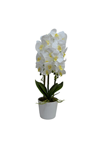 velve Orhidee cu aspect in ghiveci ceramic alb, 60 cm, Alb