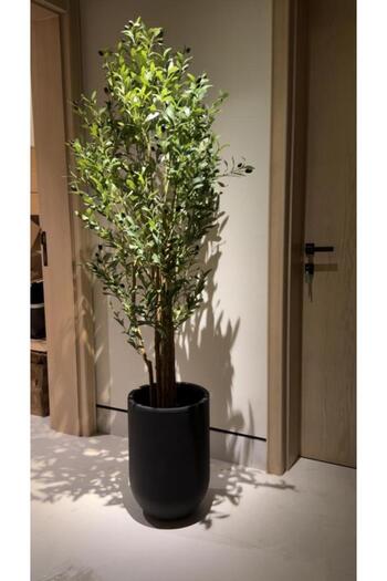 Homeynew Olive Tree 180 cm