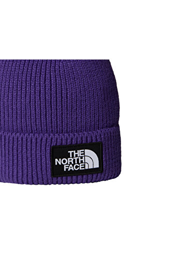 THE NORTH FACE Tnf Logo Box Cuffed Beanie Hat Nf0A8Chenl41 Purple