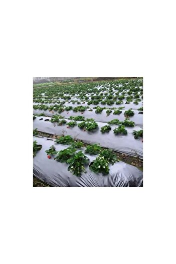 Euroclass Black Mulch Film Perforated Zig-Zag, 30 Microns, 1.4 x 500 ml