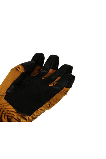 THE NORTH FACE Montana Edge Glove Men's Outdoor Ski Gloves Nf0A8Cgxg2W1 Brown