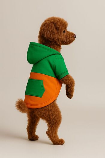 Buddy Store Contrast Collection Hooded Dog Sweatshirt – Comfortable and Stylish Hoodie for Small and Medium Breeds