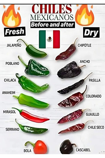 TELLGRAF Peppers Themed Poster (21X31 cm)