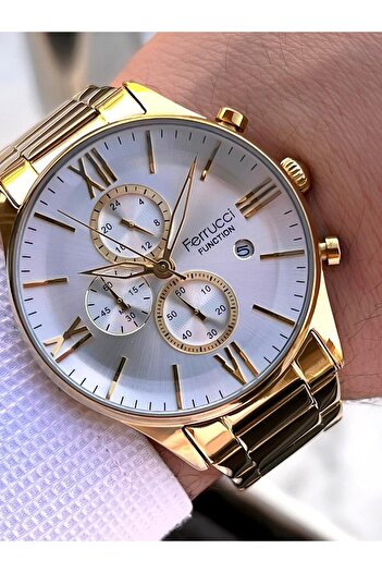 Ferrucci 2 Years Warranty Steel Band Inner Dial Features Active 3 Atm Men's Wristwatch Ef.14079.Sg