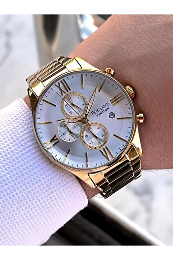 Ferrucci 2 Years Warranty Steel Band Inner Dial Features Active 3 Atm Men's Wristwatch Ef.14079.Sg