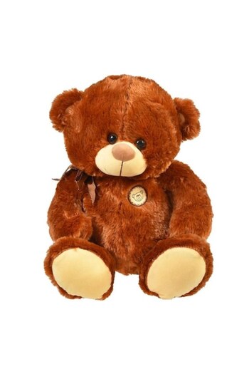OEM Dark Brown Teddy Bear with Ribbon 45cm Winnie