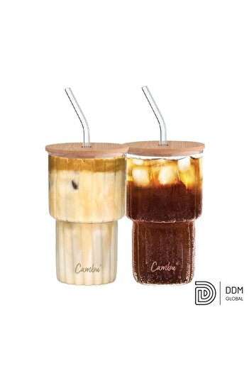 Cambu Borosilicate Glass with Bamboo Lid and Straw 2X300 ml