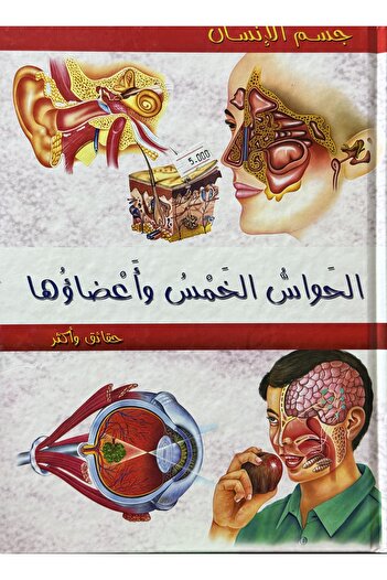 DAR Encyclopedia of the human body, the five senses and their organs