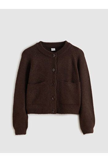 LC Waikiki Brown Crew Neck Girls' Knitwear Cardigan