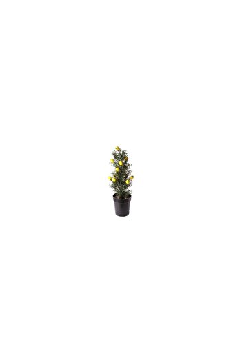 OEM Artificial Decorative Plant, Fruit Pot, 60 cm