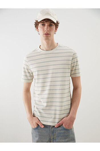 LC Waikiki Peak New Season Crew Neck Striped Men's T-Shirt