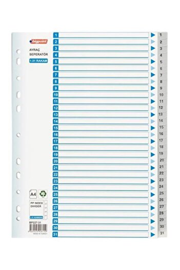Bigpoint 1-31 Number Separator Bp227-31