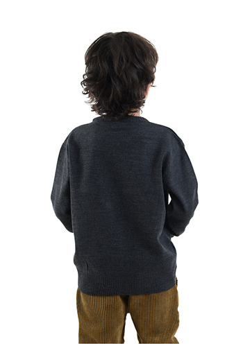 Denokids Animals Boy's Knitwear Sweater
