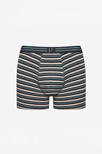 Penti Erkek Pamuklu Navy Stripe 3lü Çok Renkli Boxer