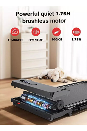 Fitness World 100kg 1.75HP 2-in-1 Foldable Electric Treadmill with 2 Manual Incline Levels