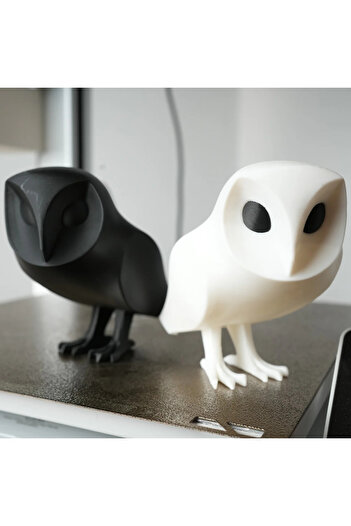 3Dprinted Owl At Night