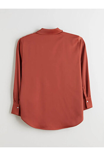 LC Waikiki Lcwaikiki Classic Brown Loose Fit Women's Shirt